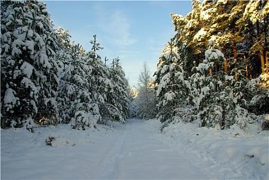 传闻：《黑手党4》或将很快公布 三至四周